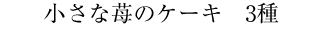 小さなガトーショコラ3種タイトル