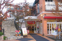 SASH! international (サッシュ・インターナショナル)