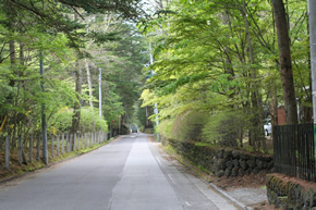 旧軽井沢別荘地