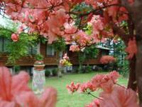 プチホテル　リトルスイス