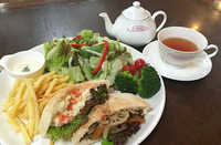 コクーンティーガーデン