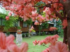 プチホテル　リトルスイス