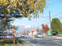 今日の軽井沢