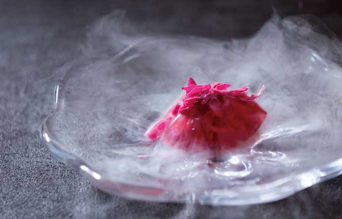 バラが香る「クリスマス・ローズ」