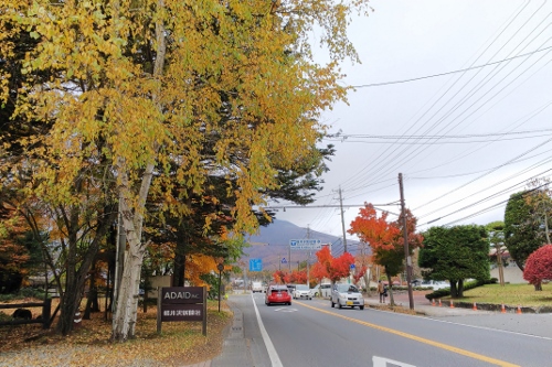 DSC_0112 (500x333).jpg