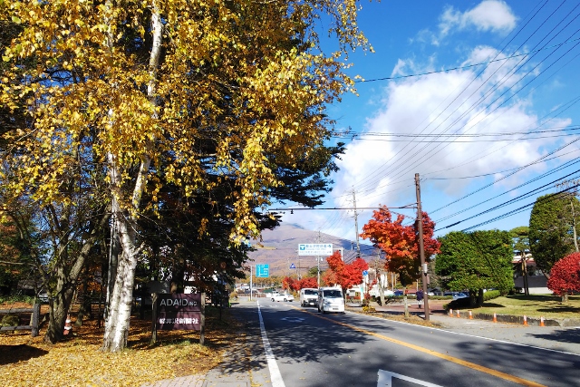 DSC_0126 (640x427).jpg