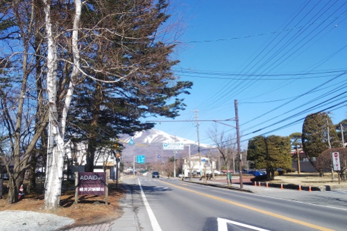 DSC_4356 (500x333).jpg