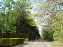 �O�����ʂ�