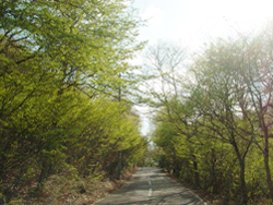 �ߗ��ʑ��n�@