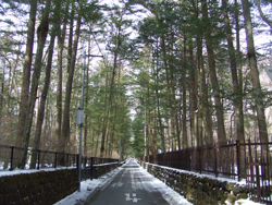 ���S���t�ʂ肩�牄�т鏬��