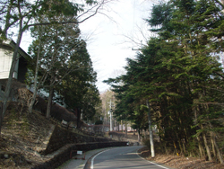 �y��򒬗��}����