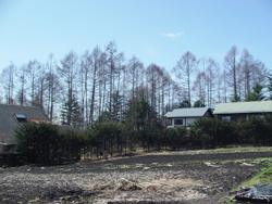 ���y���ɂ���A�Ƃ���_��