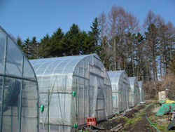 ���y���ɂ���A�Ƃ���_��