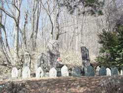 ���n�n��@���n�n����