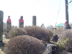 ���n�n��@���n�n����