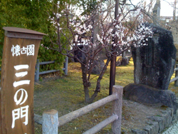 �����@���É�