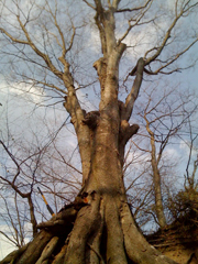 �����@���É�