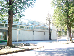 �c����p��