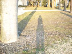 ����ӂ邳�ƌ���