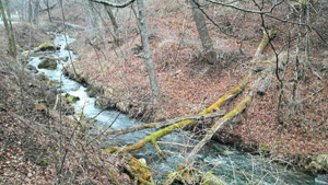 �����̑�t��