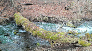 �����̑�t��