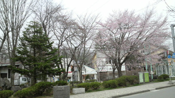 �����̑�t��