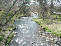 ���y���@����