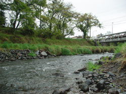 ���y���@����