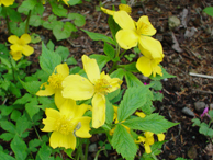 ���}�u�L�\�E