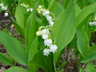 �X�Y����