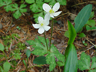 �j�����\�E