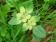 �l�R�m���\�E