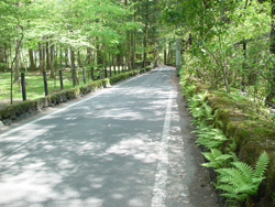 �I�[�f�B�g���A���ʂ�