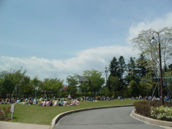 ����ӂ邳�ƌ���