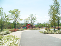 ����ӂ邳�ƌ���