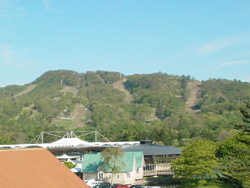 �y���v�����X�z�e���X�L�[��