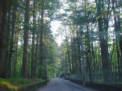 �����ʂ�