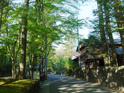 ���y������