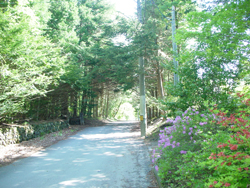 �烖��ʑ��n