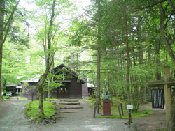 �V���[�L�O��q��