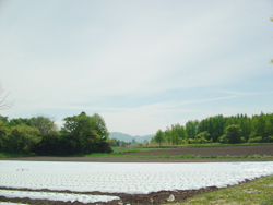 ���z�n��