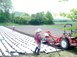 ���z�n��