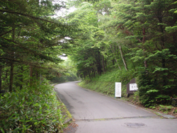 ���R�o�R������