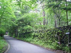 ���R�o�R������