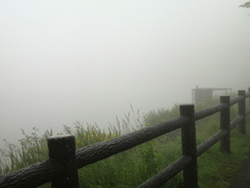 ���R�o�R������