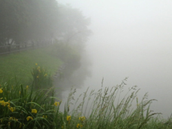 ���R�o�R������