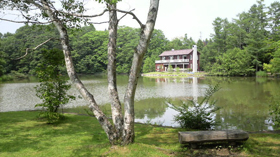 ���R�o�R������