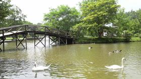 ���R�o�R������