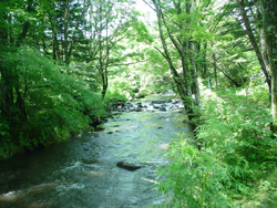 ���R�o�R������