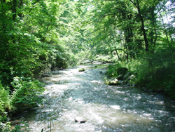 ���R�o�R������